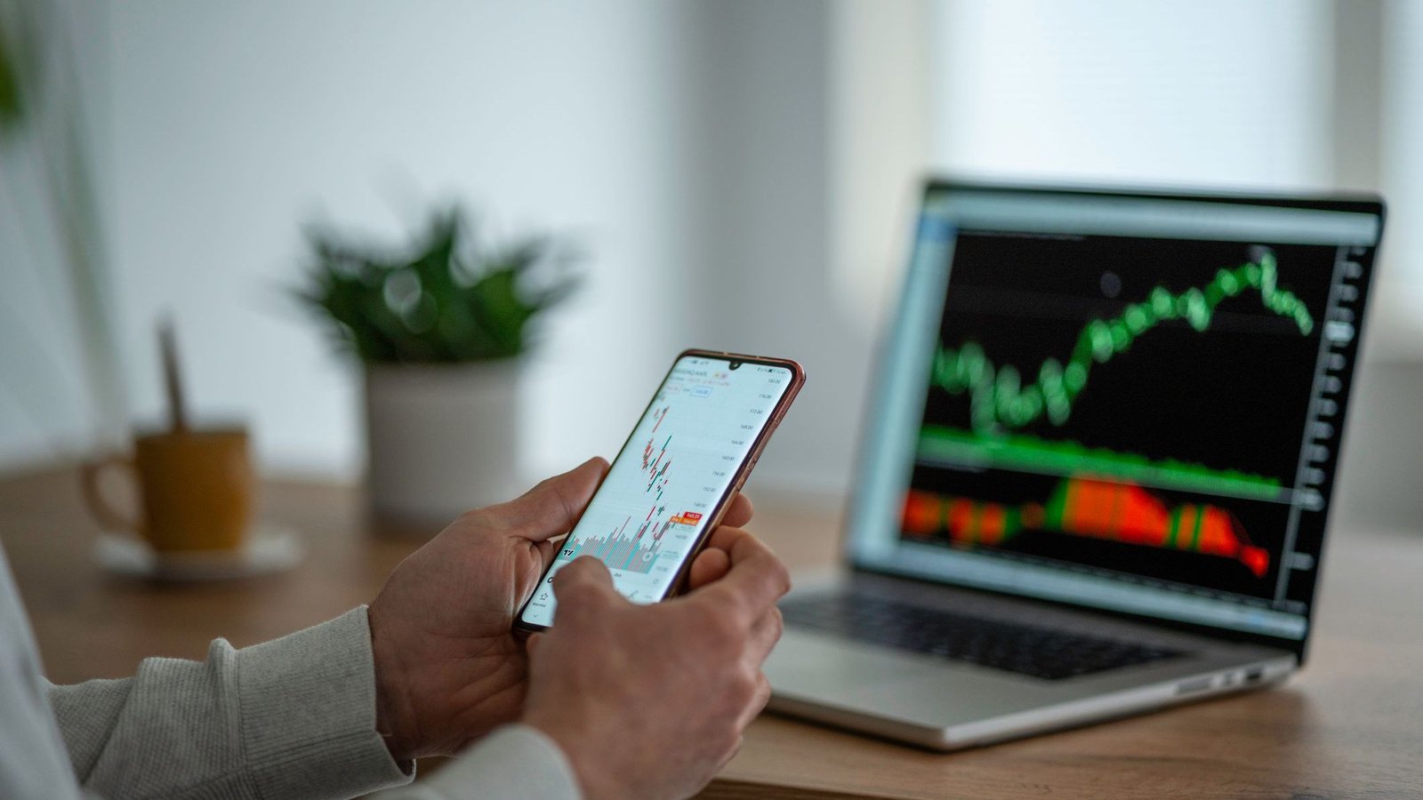 An investor looks over a stock that he